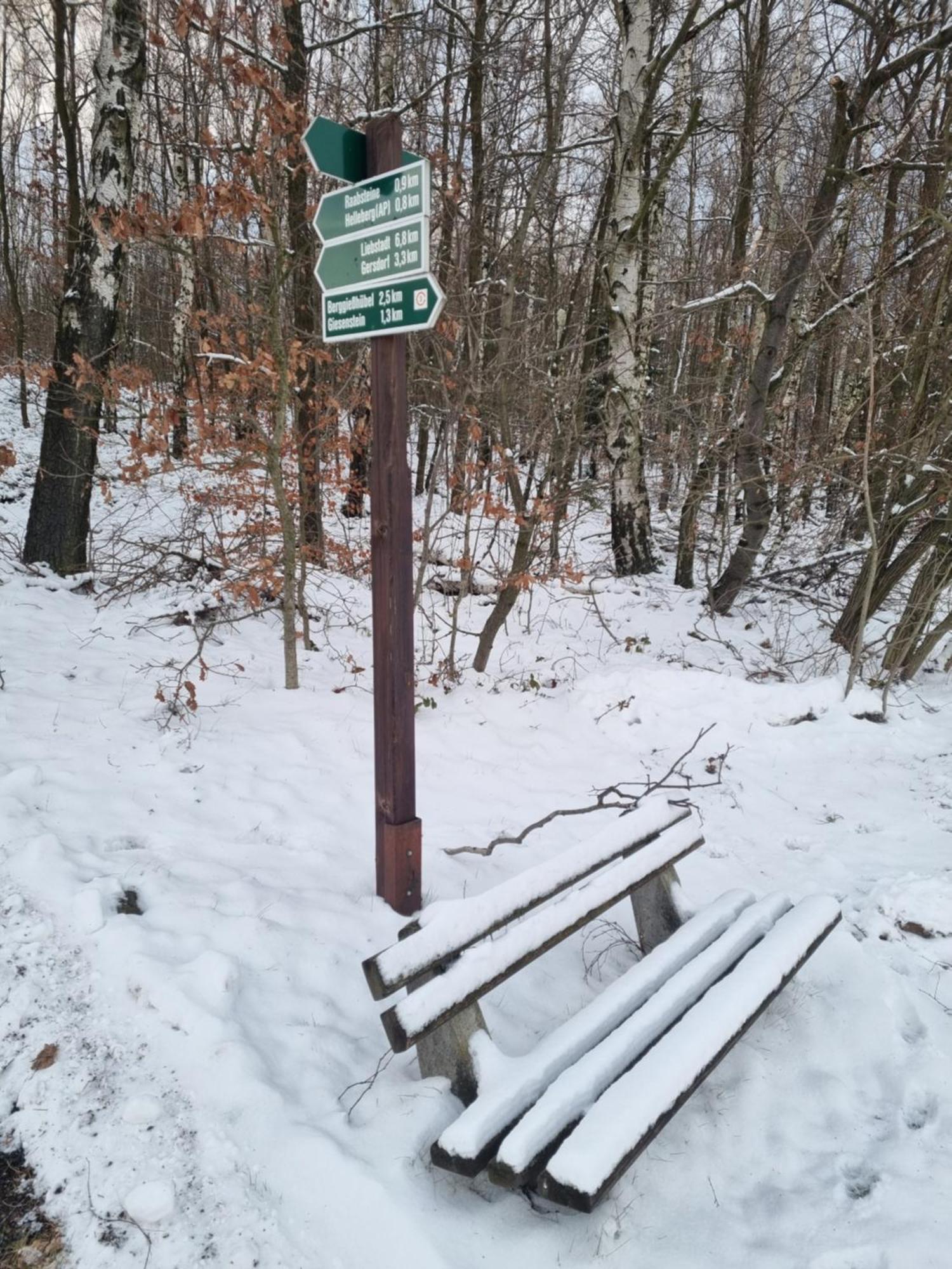 Ferienwohnung Raabsteine Bad Gottleuba-Berggiesshuebel Luaran gambar